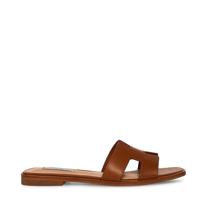 Brown Steve Madden Hadyn Leather Women's Slides | PH 432916KI